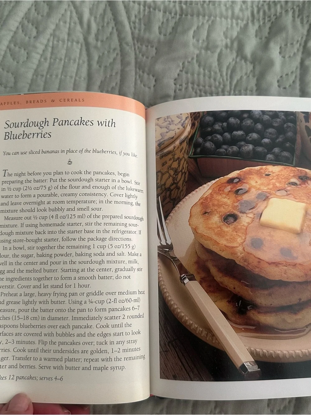 Williams Sonoma Breakfast And Brunches Cookbook